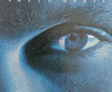 Garth Brooks - Fresh Horses.