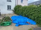 For Any outdoors or Gardening job, small or Big . Image 2
