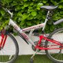 Shogun mountain bike Image 2
