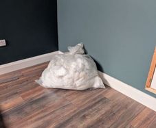 free Stuffing