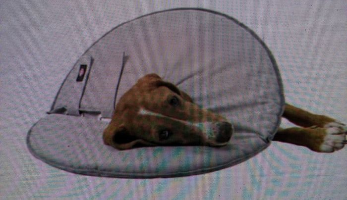 Soft Cone