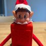 elf on the shelf igloo post boxes and needohs Image 4
