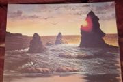 Brand new Coastal print