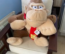 Donkey Kong and YoshiPlush