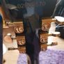 Les Paul copy Image 4