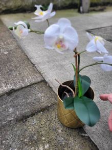flower decoration