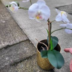 flower decoration