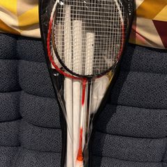 2 badminton rackets with net.