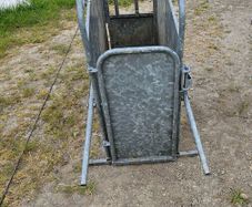 Calf De-horning crate