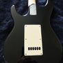 musicman sub Image 5