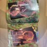 Glass Tiger Someday 7 inch Single Special Edition Poster Sleeve Image 3
