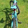 Bike Image 2