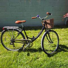 Ladies Cruiser Bicycle