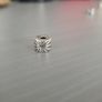 Pandora Clip Charms Image 5