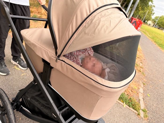 Thule Bassinet ONLY compatible with Urban Glide 3, 4-Wheel, Spring 2 & Sleek 2