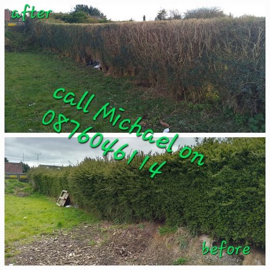 Garden maintenance