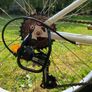 Decathlon Rockrider ST100 sport trail 24" Image 9