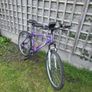 bike Image 4