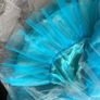 Custom made TUTU Image 5