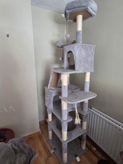 Cat Tree, Bed, and Crate