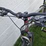 Trek Mountain Bike Image 5