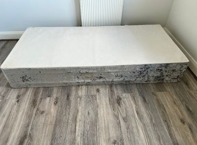 Free single bed frame