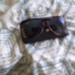 rayban