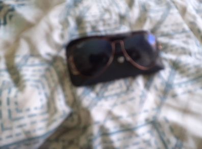 rayban