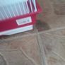 pink bird cage Image 5