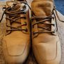 Timberland Image 4