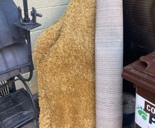 free rug