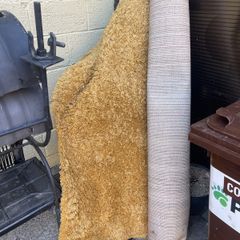free rug