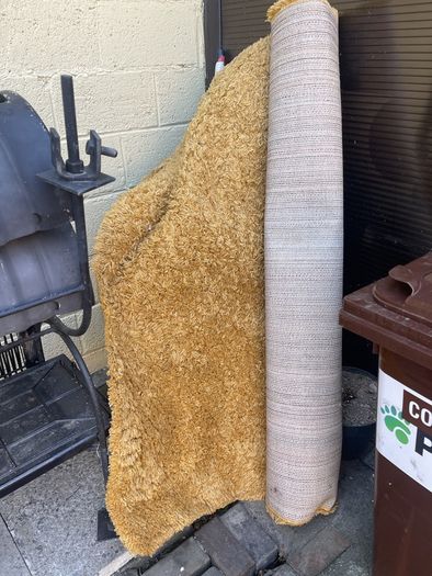 free rug