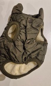 dog jacket