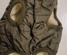 dog jacket