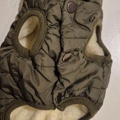 dog jacket