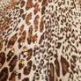2 leopards print tops 18 Image 8