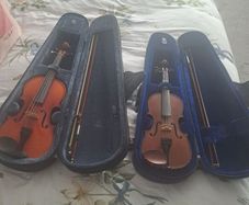 Violins