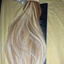 Blonde with highlights ponytail Image 2