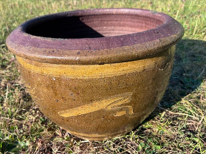 Glazed snake styled flower pot