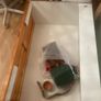 Large hamster cage Image 2