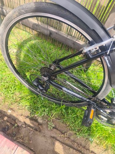 Euro Giant hybrid bike