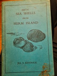 Fifty Sea Shells From. Herm Island. By Jill. S. Kendrick.