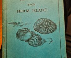 Fifty Sea Shells From. Herm Island. By Jill. S. Kendrick.