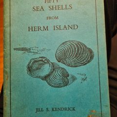 Fifty Sea Shells From. Herm Island. By Jill. S. Kendrick.