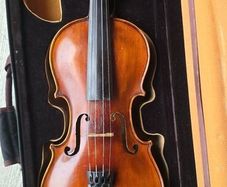Violin