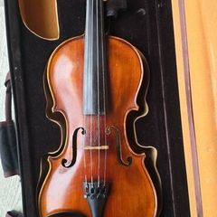 Violin