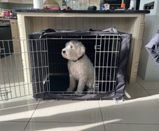 Dog crate cage with blackout covers and tray