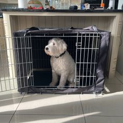 Dog crate cage with blackout covers and tray