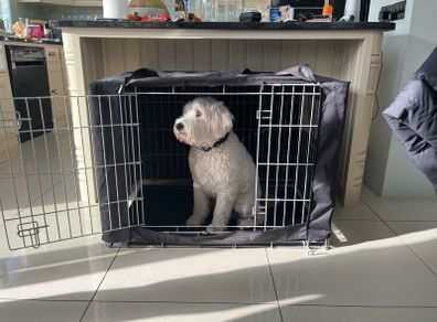 Dog crate cage with blackout covers and tray